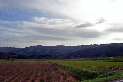img20200105160216756536.jpg