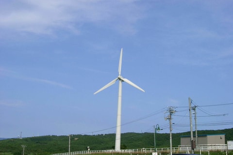 07280055.jpg