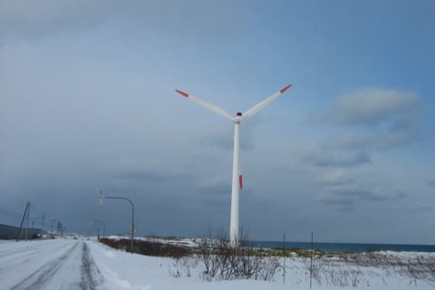 image12.jpg
