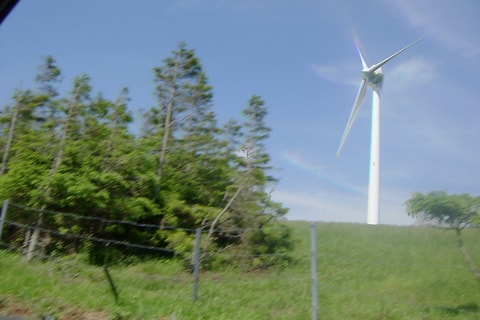 dc0703143.jpg