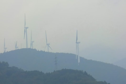 2011-10-13_13-23-30_-_cimg6542.jpg
