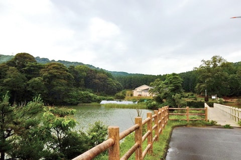 img20200109062309151154.jpg