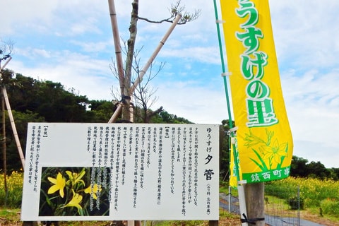 img20200110205936915457.jpg