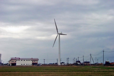 img20200110230741590235.jpg