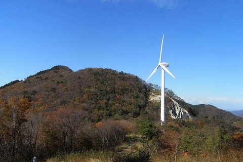 2008-11-19_12-39-43_408.jpg