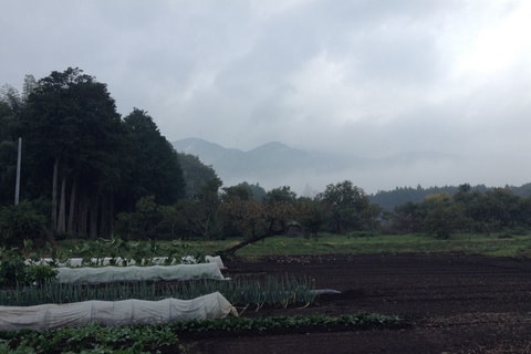 2014-10-21_10-48-58_-_0012.jpg