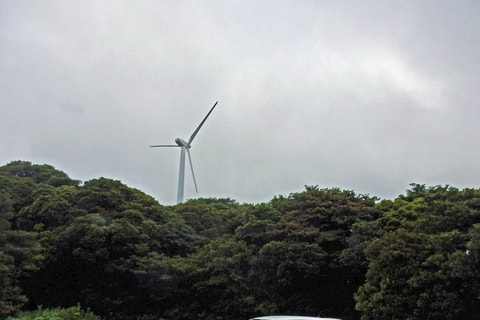 img20200111044837925391.jpg
