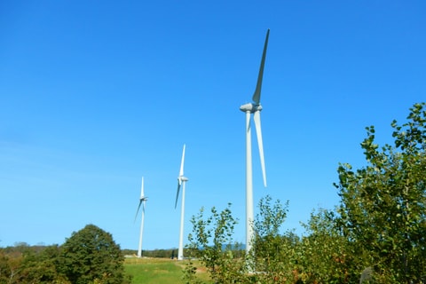 dscn9509.jpg
