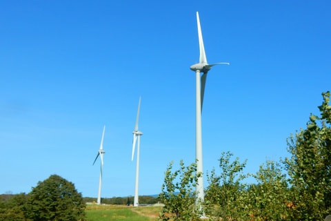 dscn9513.jpg
