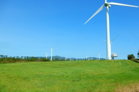 dscn9526.jpg