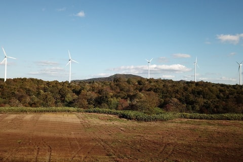 dji_0046.jpg