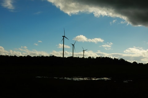 img20200113162738312535.jpg