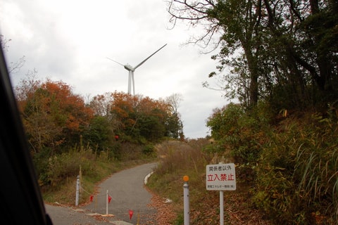 img20200113204149303605.jpg