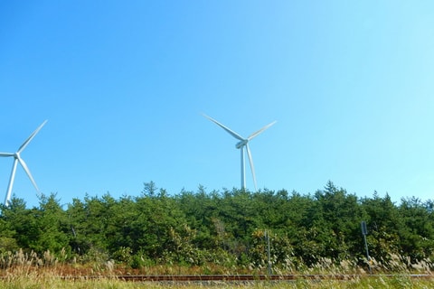 dscn9501.jpg