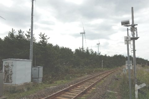 img20200118155120853223.jpg