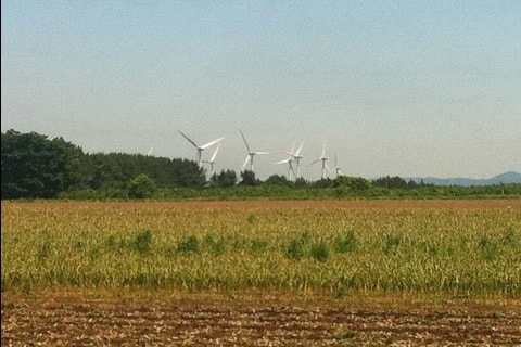 2011-07-02_10-59-52_086.jpg