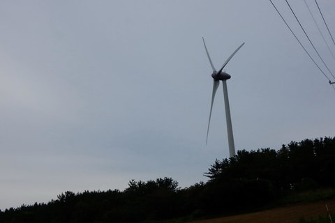 img20200118161001781086.jpg
