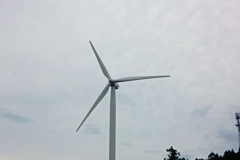 img20200118182128886204.jpg