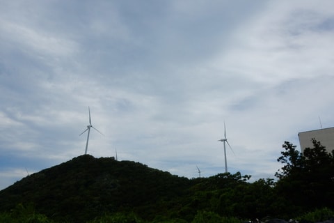 img20200118182816063256.jpg
