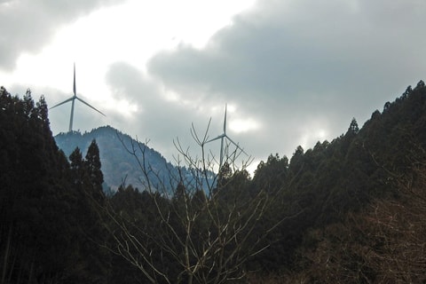 img20200118191634778954.jpg