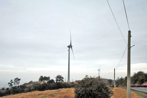 img20200118205522067666.jpg