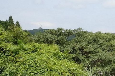 img20200118213410033321.jpg