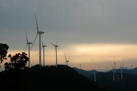 dscn4956.jpg