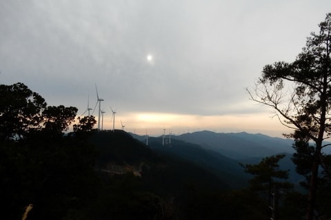 img20200118222458263904.jpg