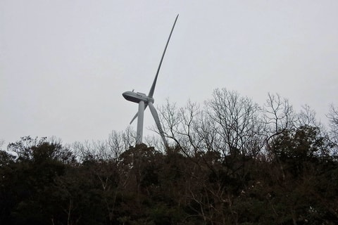 img20200118222751839031.jpg