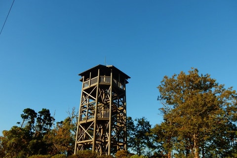 img20200118230741104638.jpg