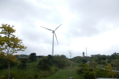 img20200118231409035914.jpg