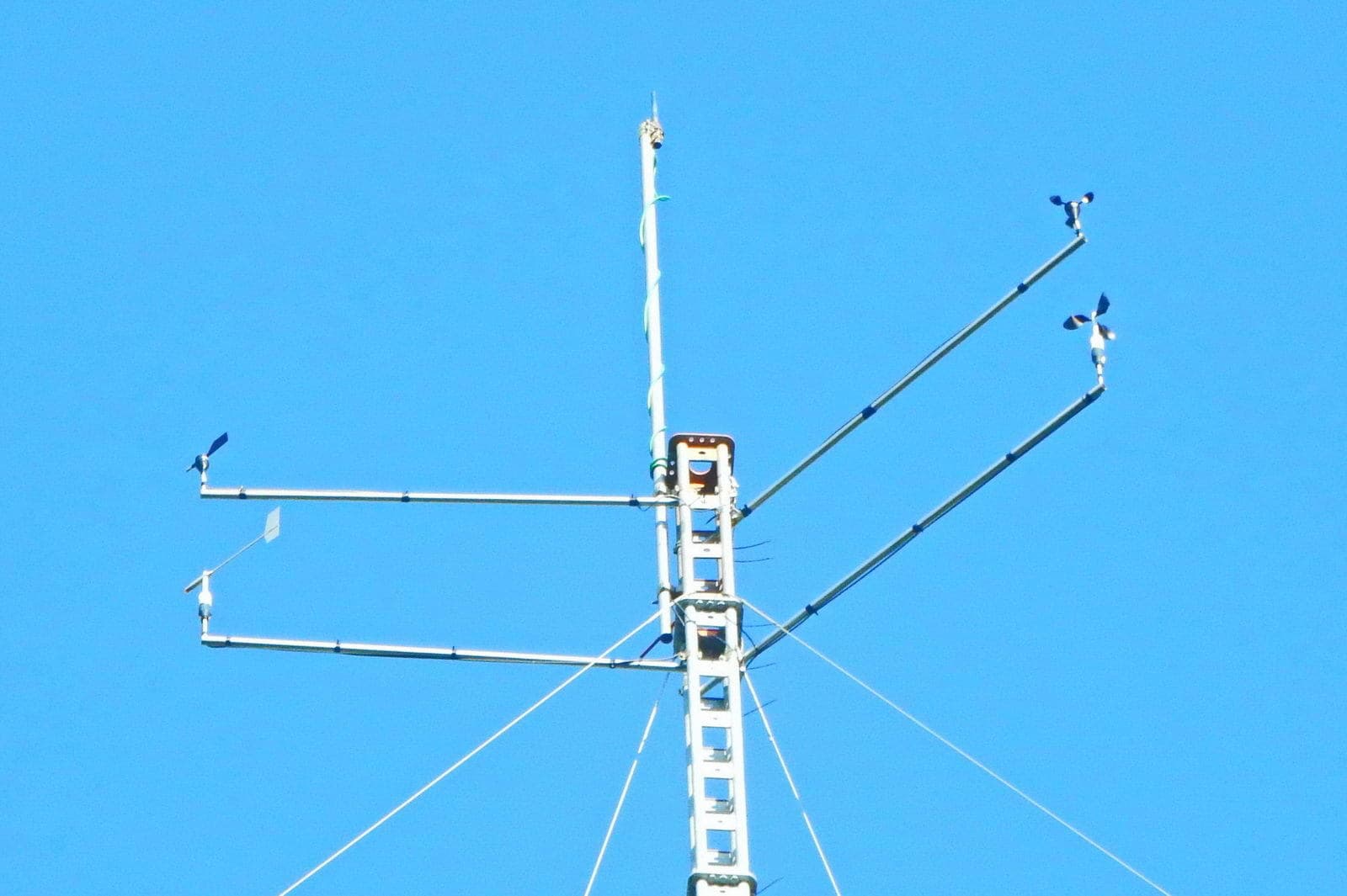 img20210306141651283320.jpg