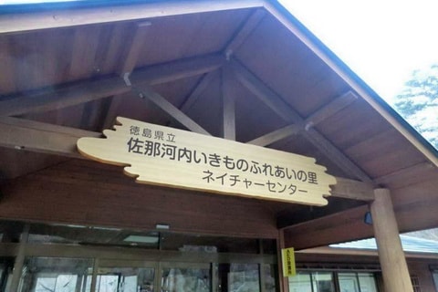 img20190412111805761842.jpg