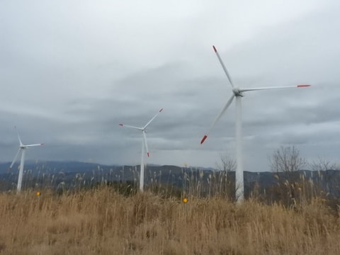 2016-12-26_14-17-06.jpg