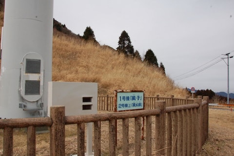 img20190412112541440133.jpg