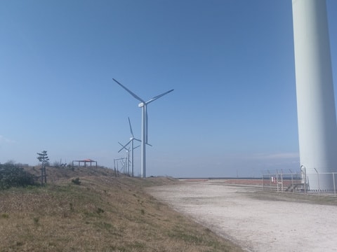 img20190413233810871781.jpg