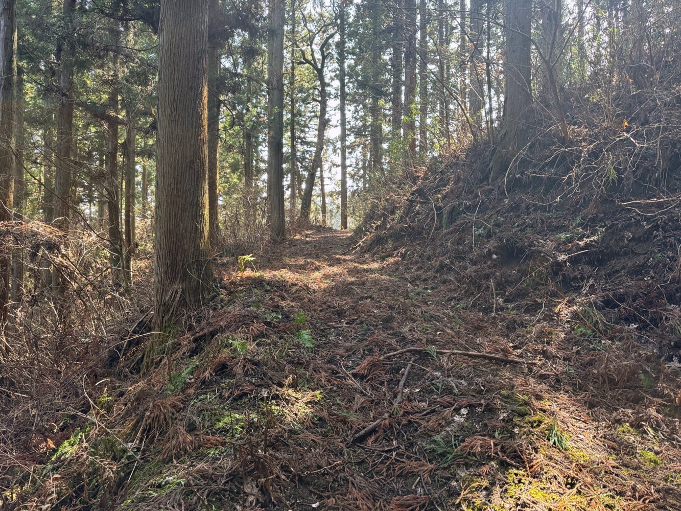 候補地の現地調査例。写真提供:株式会社新エネルギー総合研究所